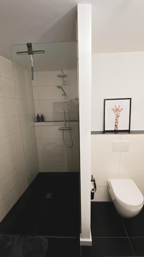 Stilvolles City-loft Mit Privatem Whirlpool Trier